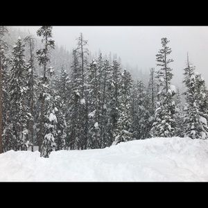 Meet your Posher, Shantel